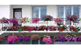 Concours des jardins et balcons fleuris
