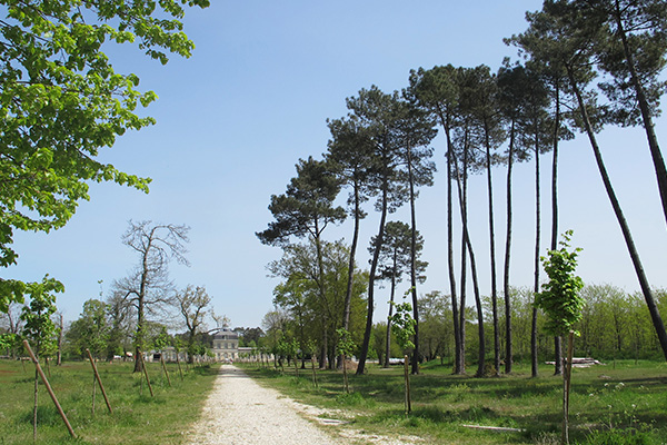 Parc du château de Belfort