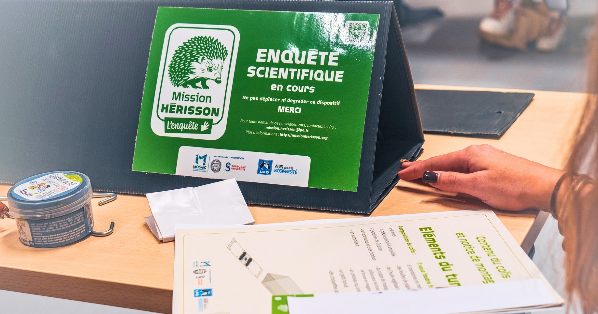Un atelier pour apprendre à confectionner des tunnels à empreintes : enquête scientifique en cours, Mission Hérisson