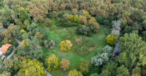 Vue aérienne d’une zone humide à Saint-Médard-en-Jalles, entourée d’une végétation dense. Une clairière herbeuse occupe le centre, bordée par des arbres aux couleurs automnales, avec un cours d’eau visible sur le côté droit.